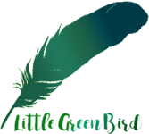 Little Green Bird Web Design